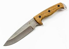 Цельный нож из металла Kizlyar Supreme Shark AUS-8 SW Kizlyar Supreme